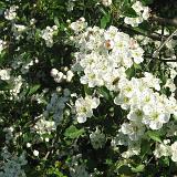0705F 09 Moehnetal